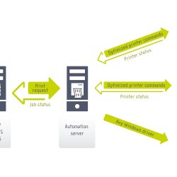 Software NiceLabel Automation Easy